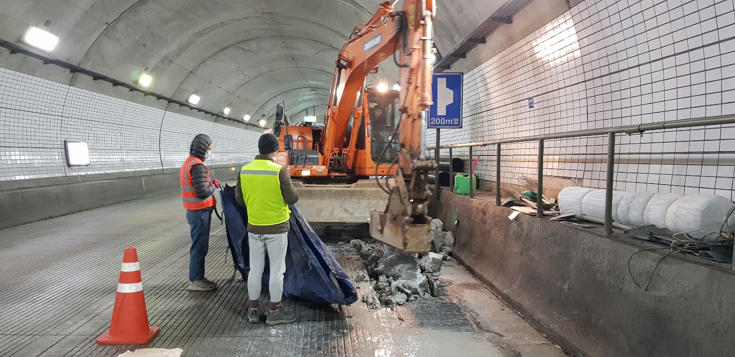 WF ������